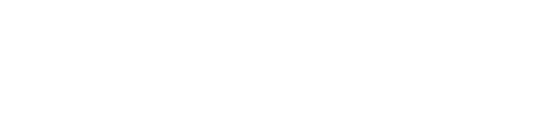 Logo Seleta